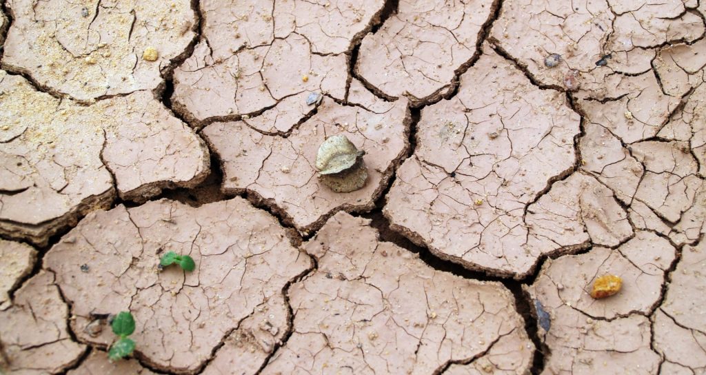 emergencia climática