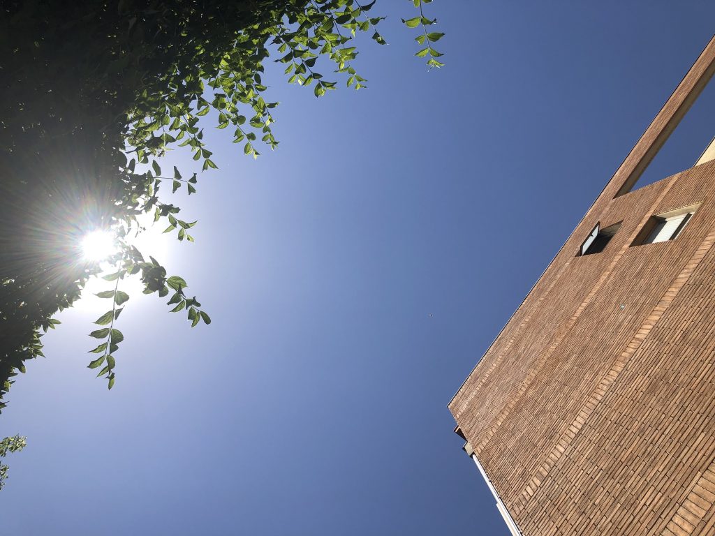 Ola de Calor Recomendaciones