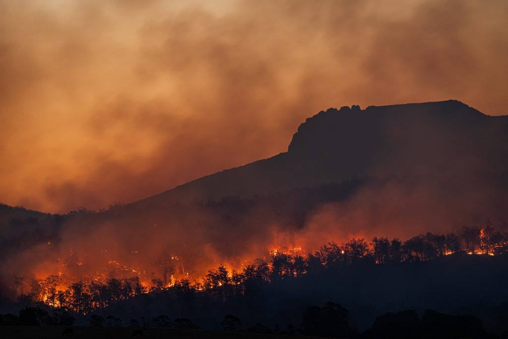 Silueta de Incendio Forestal
